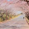 Kobadewapokerqq deposit pulsaA tourist from Shizuoka Prefecture seemed satisfied with the scenery, saying, 